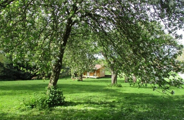 Cosy Lodge completely on your own in an acre of land. and will take 2 dogs