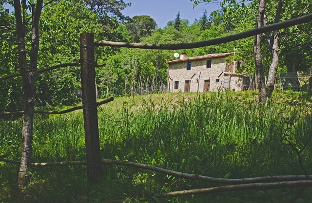 Cottage im alten Kastanienhain