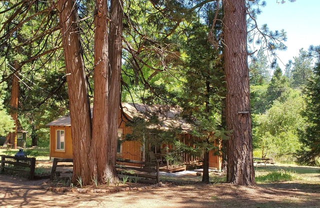 Cottage #2 with a Lake and Creek, 15 mi to Lassen NP