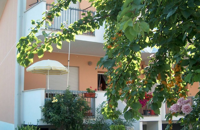 Ferienhaus wenige Minuten vom Strand, Haustiere willkommen
