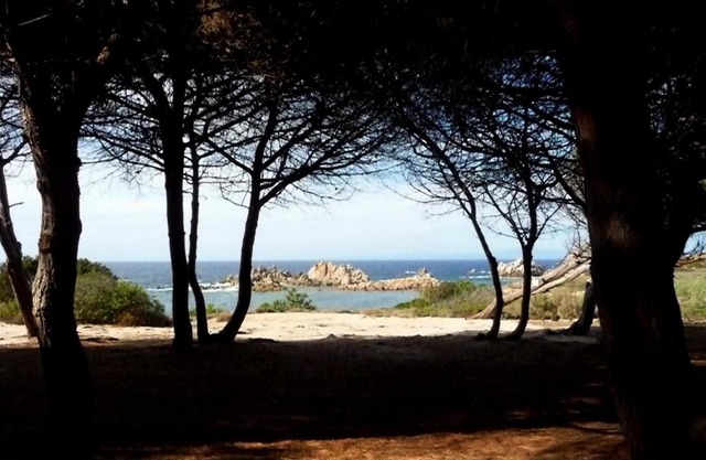 Cottage-Apartment In Rural Sardinia With Sun, Sea And Sand