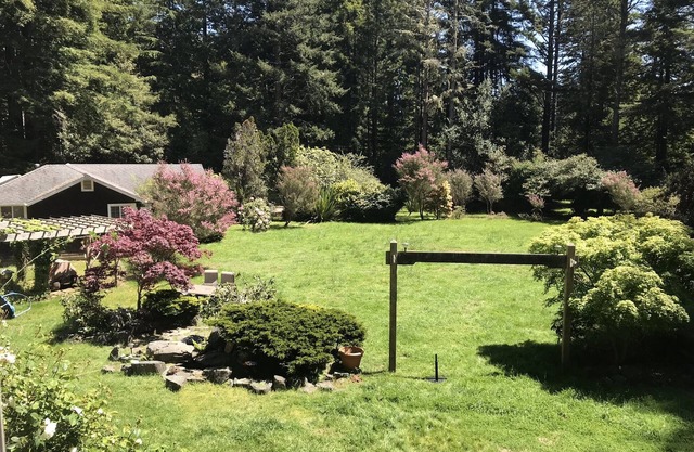 Cottage Hideaway in the Redwoods—Less Than One Mile from the Ocean