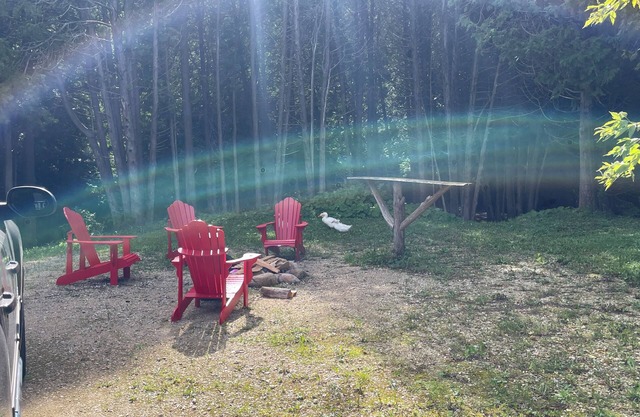 Cottage Retreat on 11 Acres!