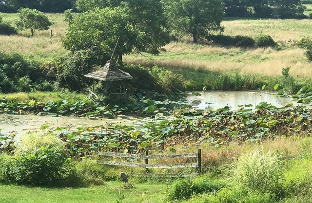 Cottage totally upgraded on 53 acre historic farm