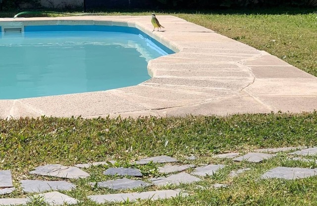 Cottage with pool