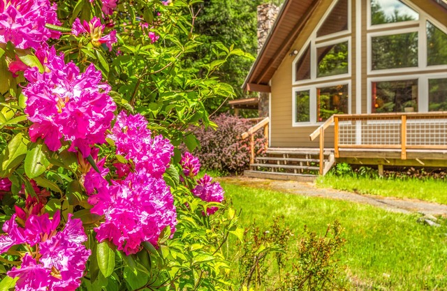 Cottonwood Chalet - Great Getaway near Mount Rainier