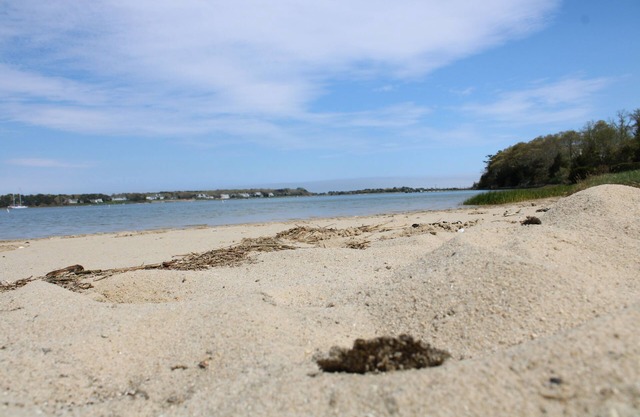 Cotuit Coastal Escape with private beach. RPMS117