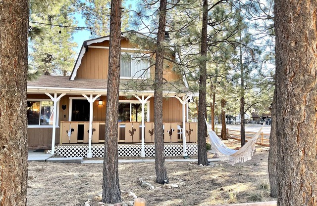 Country Bear Cabin - 10 miles from Big Bear Lake!