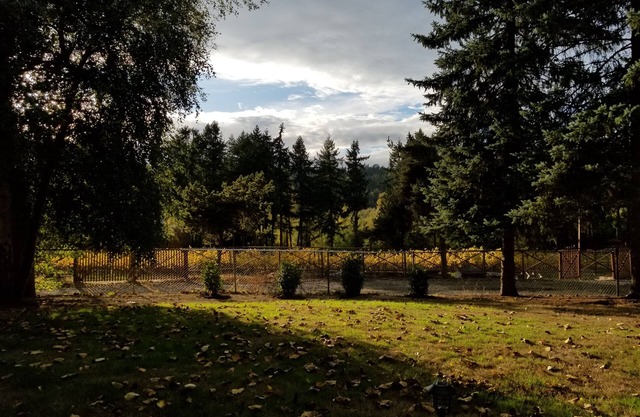 Landgefühl, mit allen Annehmlichkeiten, in der Nähe von Weingut, Restaurants, Geschäften und Autobahn!