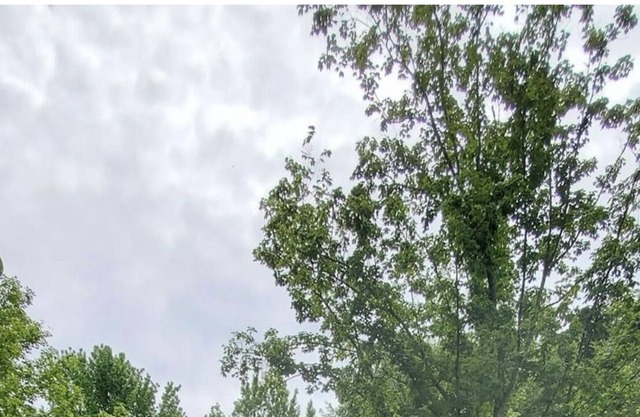 Country getaway minutes from Nashville