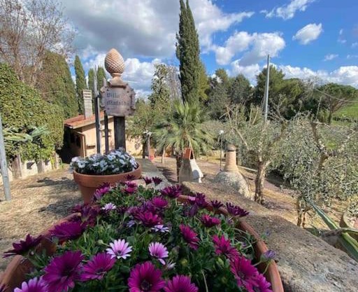 Country house in Maremma Villa Mafalda