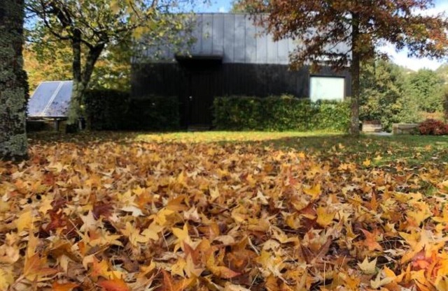 Country house Lamosa - Geres