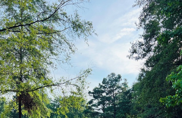 Country Peace Boondocking