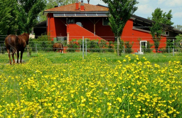 Landhausstil Ferienwohnungen auf dem Bauernhof