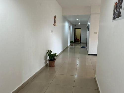 Couple friendly Deluxe Rooms Kasauli Hills Kumarhatti