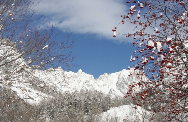 Courmayeur Mont Blanc - Große Dreizimmerwohnung für Familien mit Kindern