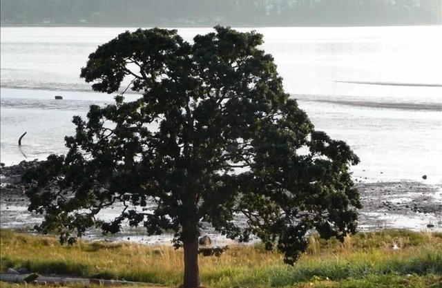 Courtenay Beach House - Minuten zum Golf Ski Angeln