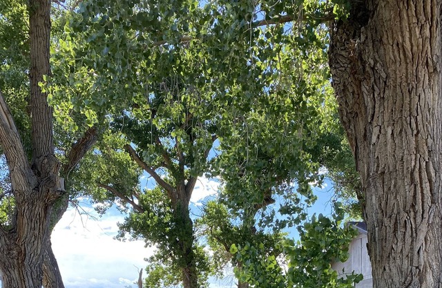 Cowboys Hideout on Historic Santa Fe Trail