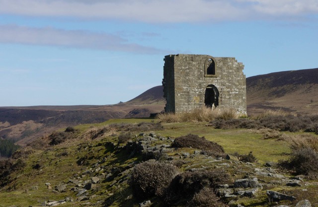 Schlüsselblume Ferienhaus.