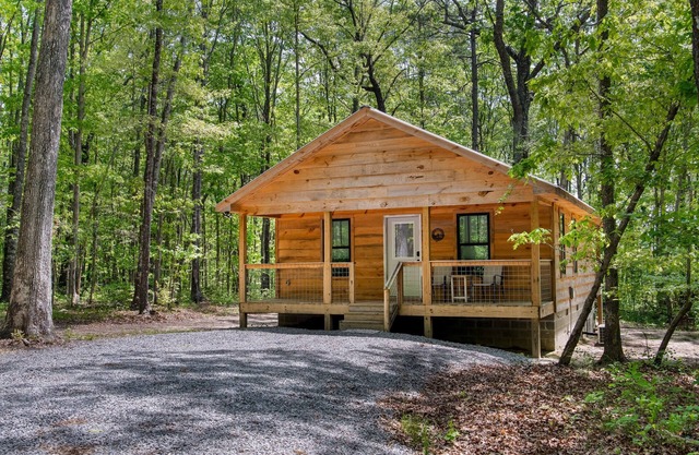Coyote Den-cozy cabin w/hot tub & fire pit