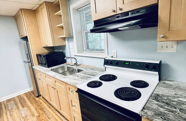 Cozy 1-bedroom apartment with AC, WiFi in charming Dahlonega