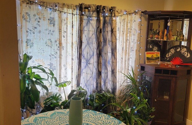 Cozy 1-bedroom apartment in the heart of Chicopee