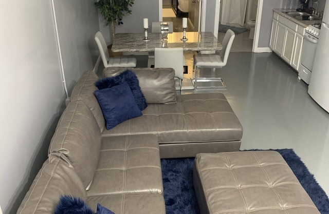 Cozy 1 bedroom Apartment Downtown Detroit