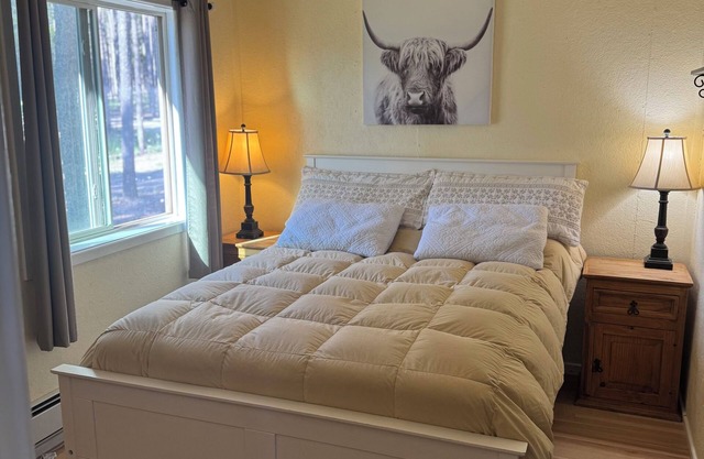 Cozy 1-bedroom cabin on Casper Mountain set upon 6 acres of peaceful forest.