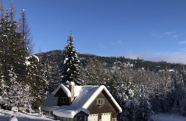 Cozy 1 bedroom Loft on private 30 acres
