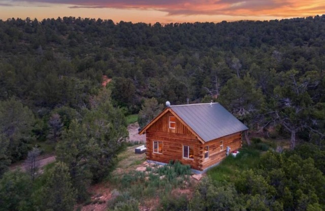 Cozy 2-bedroom cabin in a lovely slice of heaven in Hesperus off Cherry Creek Rd