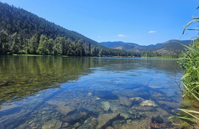 Cozy 2-bedroom cottage with peaceful Kootenai River view/access, Pets Welcome!