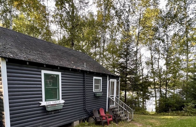 Cozy 2 Bedroom Lakefront Cabin Turtle Point Outpost|Box Turtle