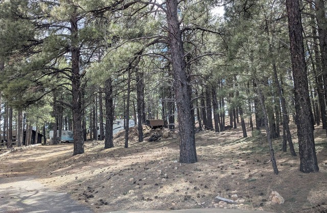 Cozy 2-bedroom RV in charming Flagstaff with AC, WiFi