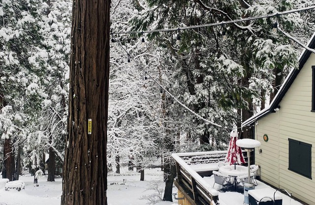 Cozy 2-bedroom cabin near Alta sierra ski resort with stunning views.