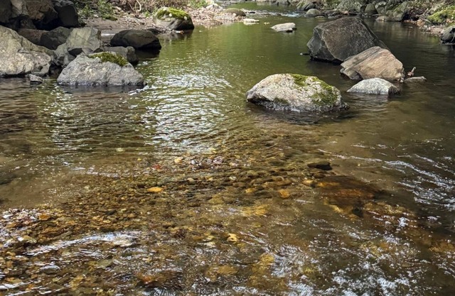 Cozy 3-bedroom cabin in Woodbury. With Brook and mountain to enjoy.