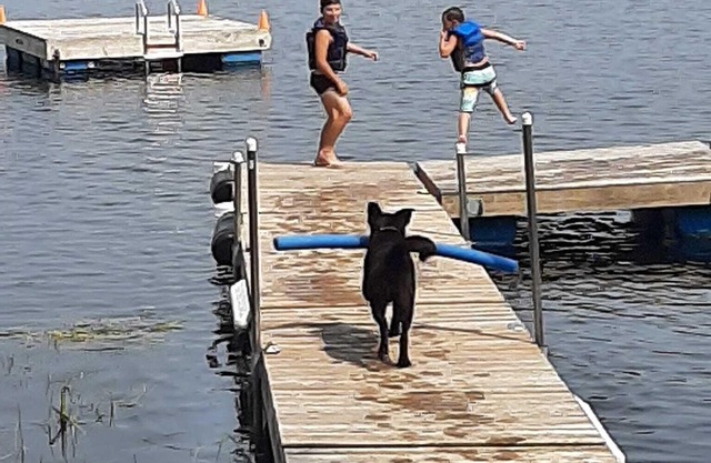 Cozy 3 Bedroom Lakefront Cottage w/Huge Deck Overlooking Lake