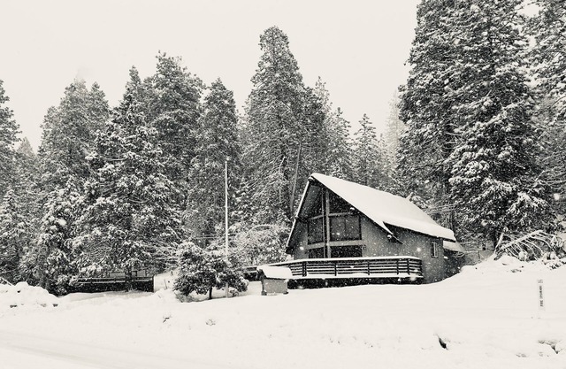 Cozy 4bd, 2bth cabin in Murphys, on 2 acres close to vineyards & Bear Valley!