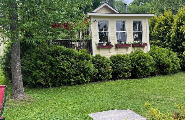 Cozy 500sf cabin with private dock