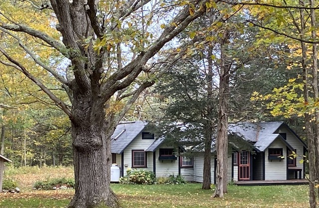 Cozy Adirondack Cabin w/Private Lake Access!