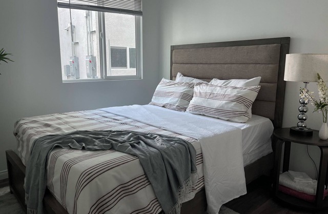 Cozy and Central to All Apartment