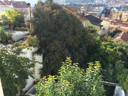 Cozy Apartment - City Center, Sunny and Pratical