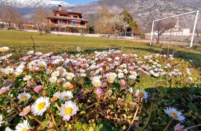 Cozy apartment in villa in the green heart of Abruzzo
