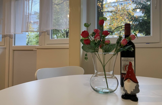 Stadtzentrum nahe zum EU Kongresszentrum, Messe,Hauptbahnof Zug-Bus