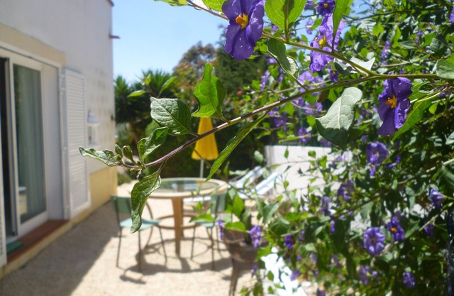 Gemütliche Ferienwohnung mit privatem Eingang und Patio