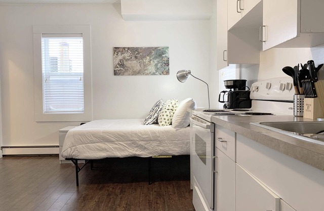 Cozy Bachelor Condo, Downtown, WiFi & Smart TV
