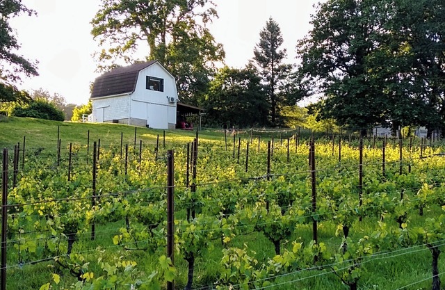 Cozy Barn Cottage Retreat nestled in the vineyards of Eola-Amity Hills