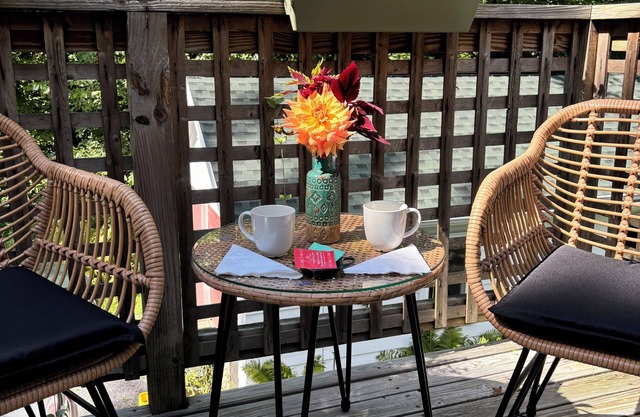 Cozy bright sunny 1-bedroom with quiet AC and WiFi in charming Mount Tremper
