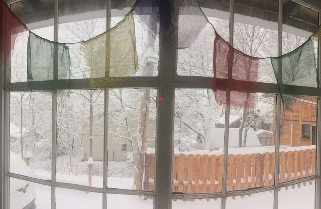 Cozy Bungalow