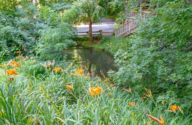 Cozy Cabin #12 - Sleeps 6 - Full kitchen + fireplace - between Boone & Blowing Rock NC