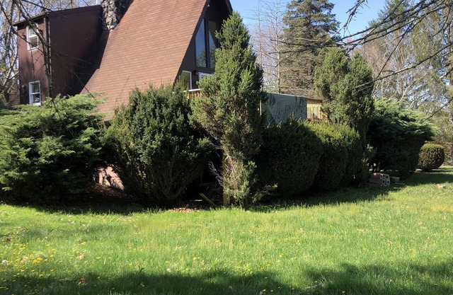 Cozy cabin in downtown Lewisburg WV close to snowshoe sky resort